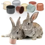 Lot de jouets pour lapin colorés et variés