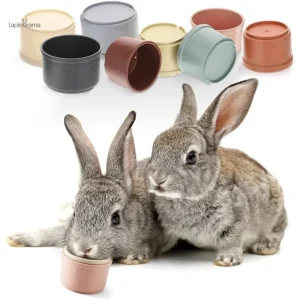 Lot de jouets pour lapin colorés et variés