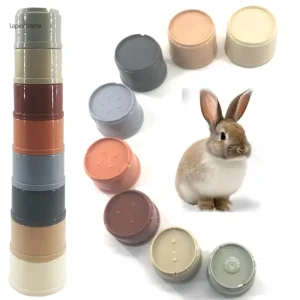 Accessoires ludiques pour le bien-être des lapins
