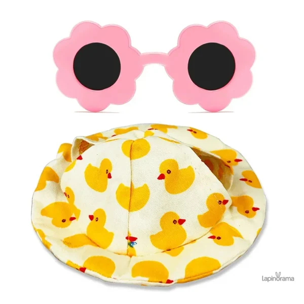 Lunettes protectrices pour lapin en plein soleil