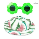 Accessoires pour lapin : lunettes soleil uniques