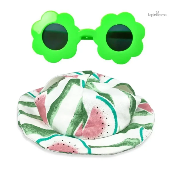 Accessoires pour lapin : lunettes soleil uniques