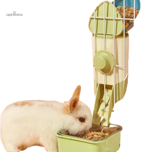 Mangeoire automatique pour lapins
