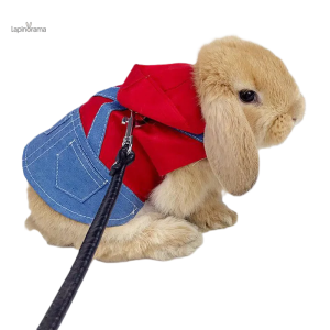 Manteau pour Lapin Nain, confortable et stylé