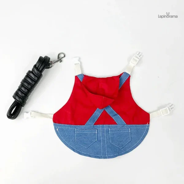 Vêtement douillet pour lapin, design adapté