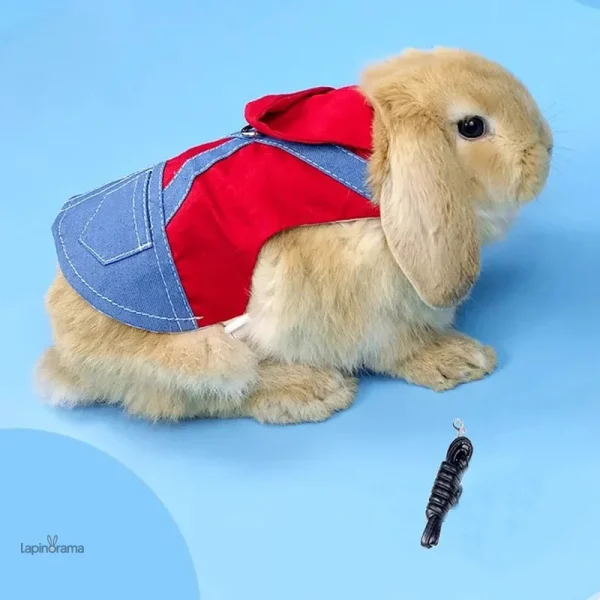Manteau doux pour lapins, idéal pour les balades
