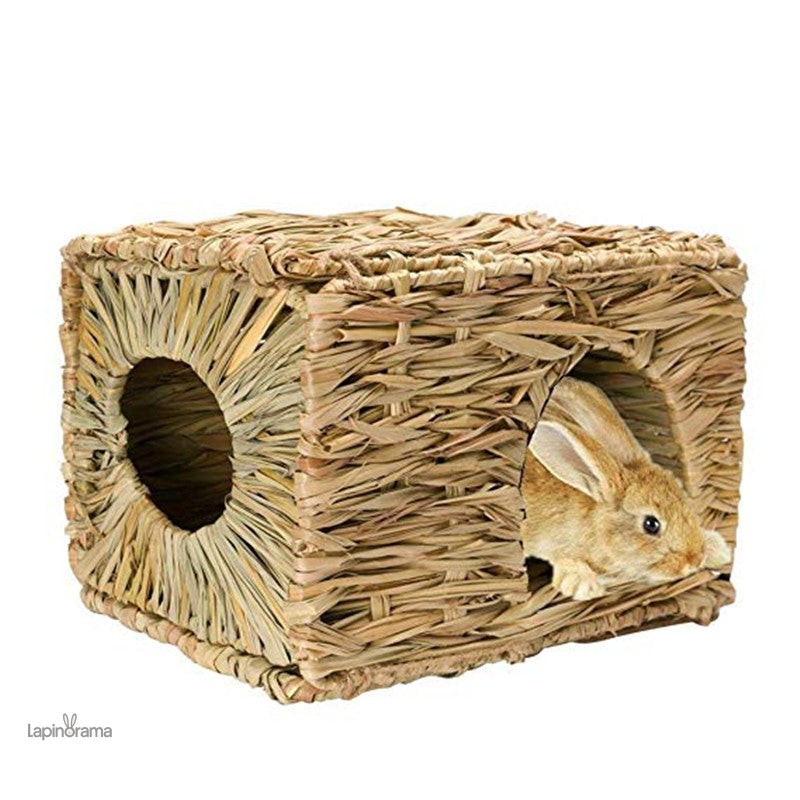 Niches Lapin