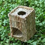 Abri naturel en bois pour animaux de compagnie