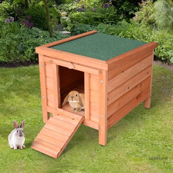 Niche pour lapin, espace de jeu et de repos