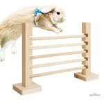 Parcours pour lapin avec tunnels et obstacles amusants