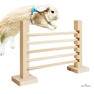 Parcours pour lapin avec tunnels et obstacles amusants