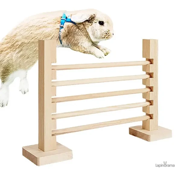 Parcours pour lapin avec tunnels et obstacles amusants
