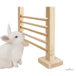 Structure sécurisée pour le divertissement des lapins