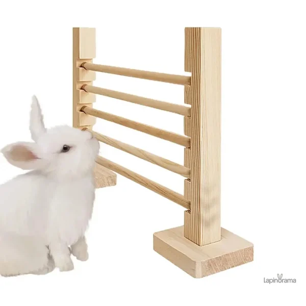 Structure sécurisée pour le divertissement des lapins