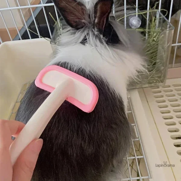 Accessoire essentiel pour le toilettage des lapins