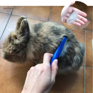 Peigne conçu pour le bien-être des lapins domestiques