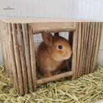 Accessoire pour améliorer le confort des lapins