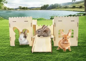 Plateforme en bois pour lapins adorables