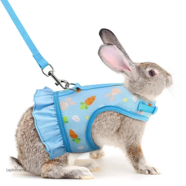 pull-lapin-1 Pull en laine lapin, doux et chaud pour l'hiver