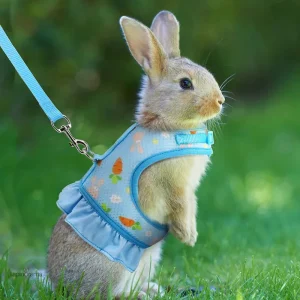 Pull en lapin, idéal pour un look cocooning