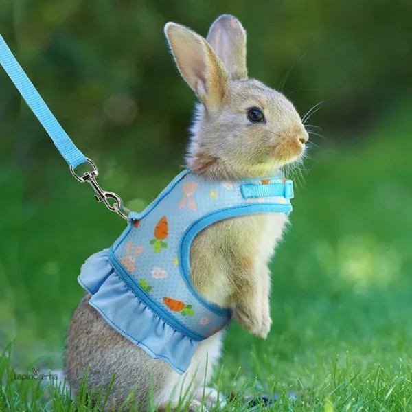 Pull en lapin, idéal pour un look cocooning
