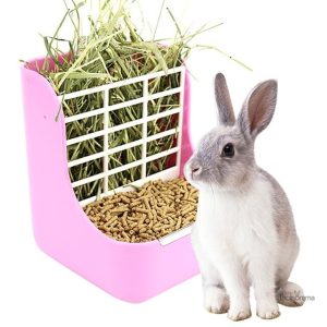 Mangeoire râtelier pour lapins, pratique et fonctionnelle