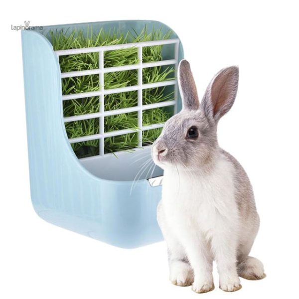 ratelier-lapin-grille-bleu-1 Râtelier Lapin bleu pour une alimentation pratique des rongeurs