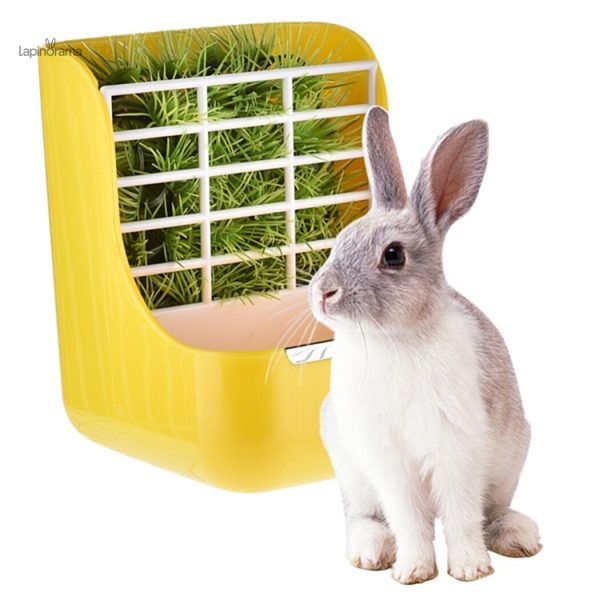 Râtelier Lapin Jaune pour une alimentation pratique