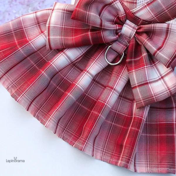 Manteau adorable pour votre lapin