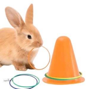 Saut d'obstacle pour lapin, jouet stimulant pour rongeurs