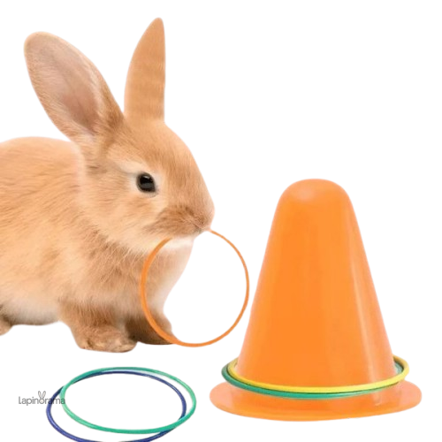 saut-obstacle-lapin-1 Saut d'obstacle pour lapin, jouet stimulant pour rongeurs
