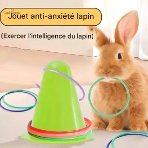 Jouet d'agilité pour lapin, idéal pour le divertissement