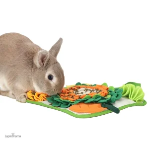 Tapis pour lapin nain confortable et douillet