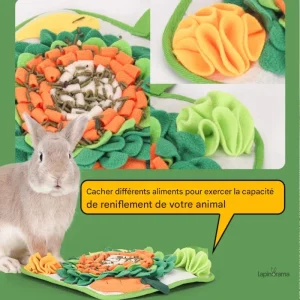 Tapis pour lapins, idéal pour le repos