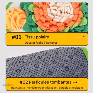 Accessoire essentiel pour lapin nain, tapis moelleux