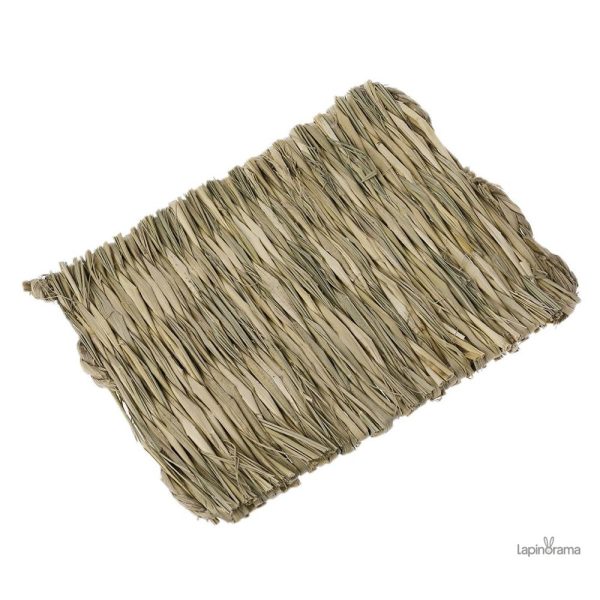 tapis-pour-lapin-1 Tapis à mâcher pour lapin, confortable et amusant