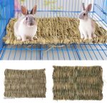 Accessoire idéal pour lapins, favorise le bien-être