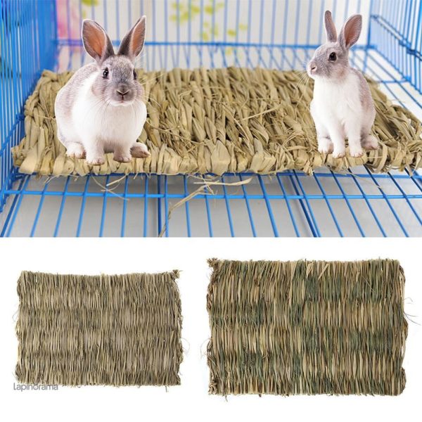 Accessoire idéal pour lapins, favorise le bien-être