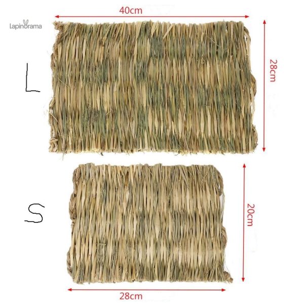 Tapis à mâcher, un essentiel pour l'épanouissement des lapins