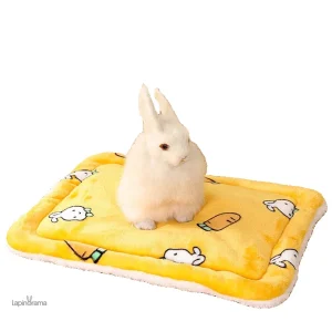 Tapis Lapin Lavable pour décoration intérieure
