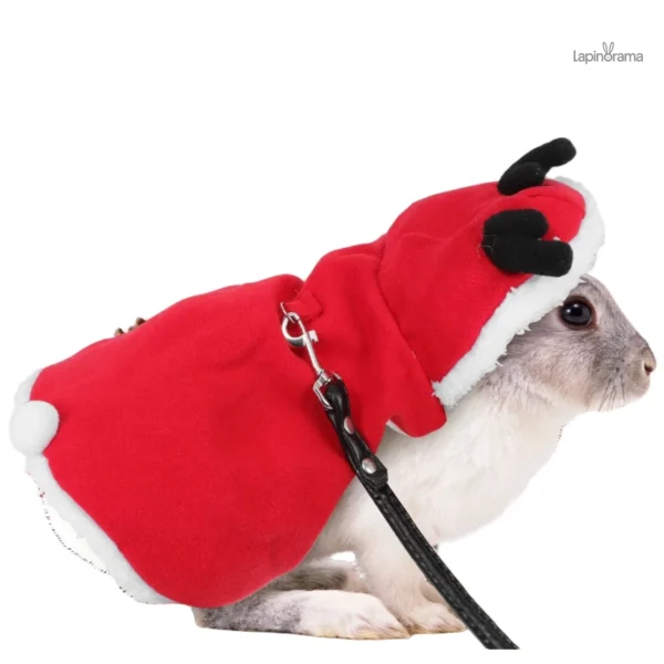tenue-noel-lapin-1 Costume de Noël pour lapin en peluche