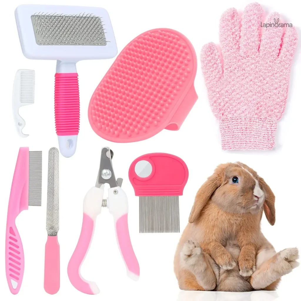 Entretien & Nettoyage Lapin