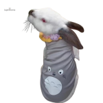T-shirt pour lapin confortable et stylé
