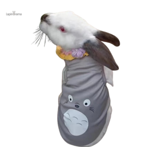 T-shirt pour lapin confortable et stylé