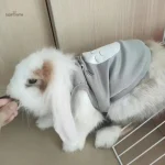 Manteau pour lapin, design tendance et léger