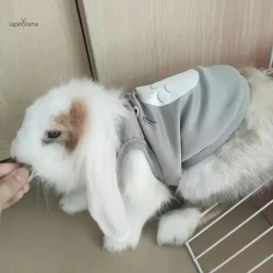 Manteau pour lapin, design tendance et léger