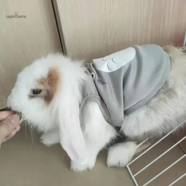 Manteau pour lapin, design tendance et léger