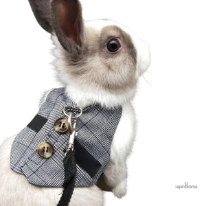 Veste en lapin noir élégante et chaleureuse