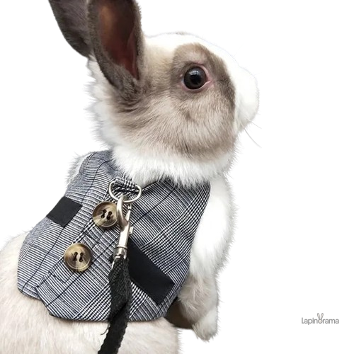 veste-lapin-noir-1 Veste en lapin noir élégante et chaleureuse