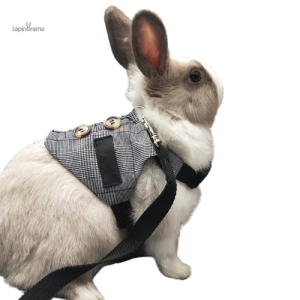 Veste en lapin noir, confort et sophistication